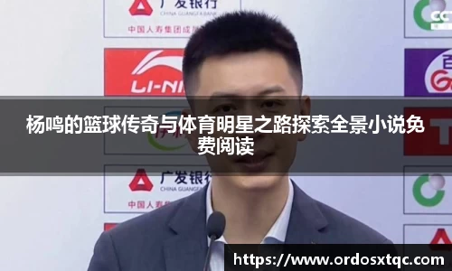 杨鸣的篮球传奇与体育明星之路探索全景小说免费阅读
