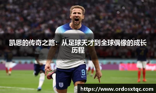 金年会官网
