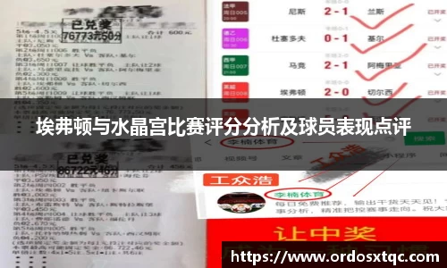 埃弗顿与水晶宫比赛评分分析及球员表现点评