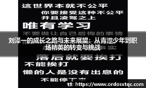 金年会金字招牌