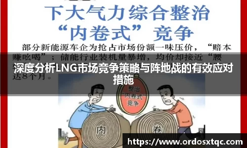 金年会深度分析LNG市场竞争策略与阵地战的有效应对措施